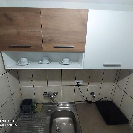 Apartman Studio Pavle I Petra Sremski Karlovci Exterior photo