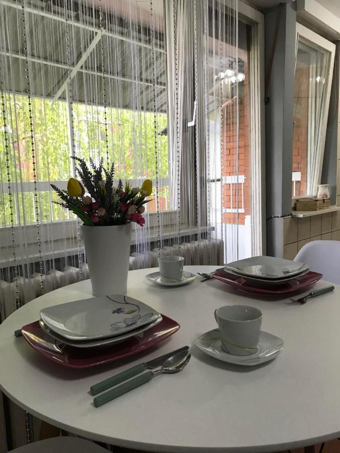 Apartman Studio Pavle I Petra Sremski Karlovci Exterior photo