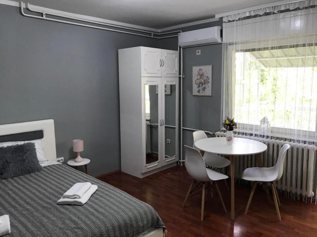 Apartman Studio Pavle I Petra Sremski Karlovci Exterior photo
