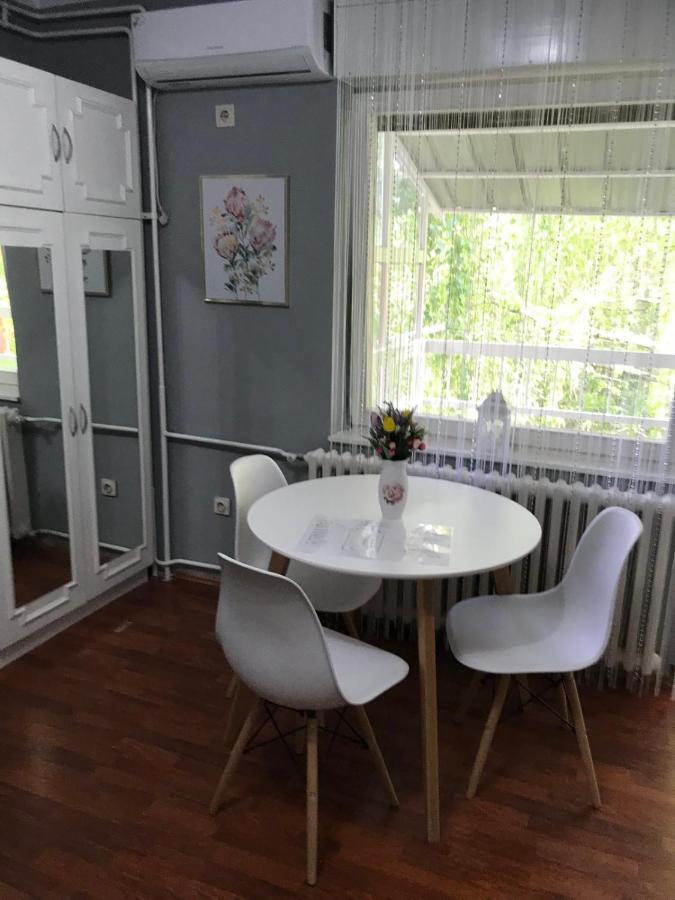 Apartman Studio Pavle I Petra Sremski Karlovci Exterior photo